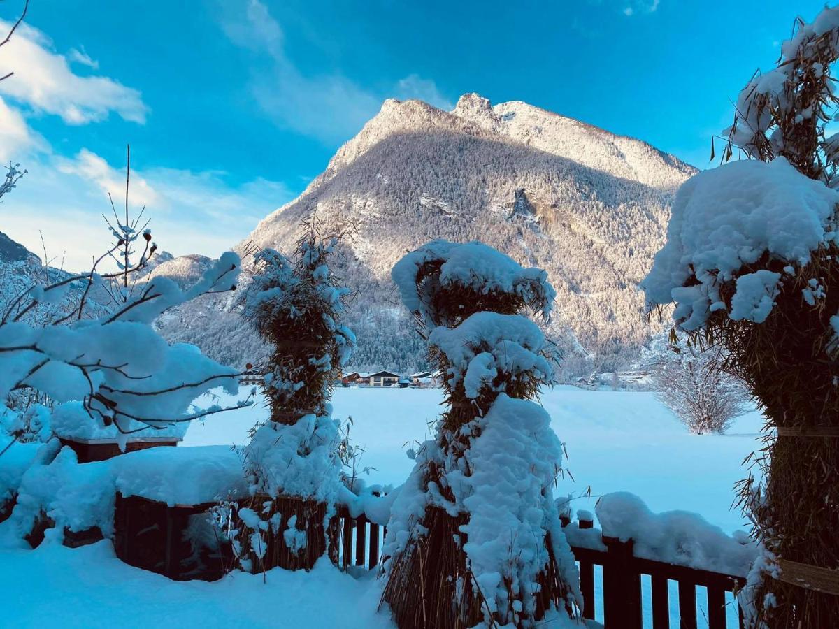 גולינג אן דר זלצאך Forest Chalet, 15 Min To Salzburg Olt Town, And Most Beautiful Lakes, Secluded Location, 1,000 Sqm Garden, Mountainview, Panorama Sauna, Bath Whirlpool, Bbq&Bikes&Sunbeds For Free, Up To 10 P מראה חיצוני תמונה