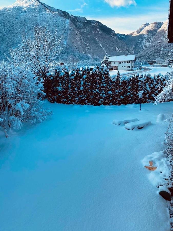 גולינג אן דר זלצאך Forest Chalet, 15 Min To Salzburg Olt Town, And Most Beautiful Lakes, Secluded Location, 1,000 Sqm Garden, Mountainview, Panorama Sauna, Bath Whirlpool, Bbq&Bikes&Sunbeds For Free, Up To 10 P מראה חיצוני תמונה