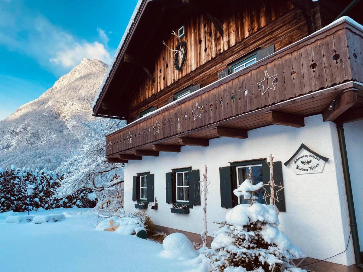 גולינג אן דר זלצאך Forest Chalet, 15 Min To Salzburg Olt Town, And Most Beautiful Lakes, Secluded Location, 1,000 Sqm Garden, Mountainview, Panorama Sauna, Bath Whirlpool, Bbq&Bikes&Sunbeds For Free, Up To 10 P מראה חיצוני תמונה