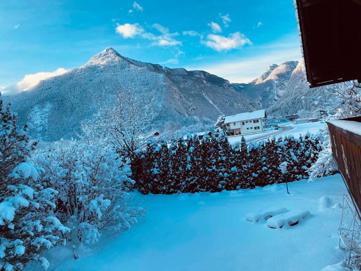 גולינג אן דר זלצאך Forest Chalet, 15 Min To Salzburg Olt Town, And Most Beautiful Lakes, Secluded Location, 1,000 Sqm Garden, Mountainview, Panorama Sauna, Bath Whirlpool, Bbq&Bikes&Sunbeds For Free, Up To 10 P מראה חיצוני תמונה