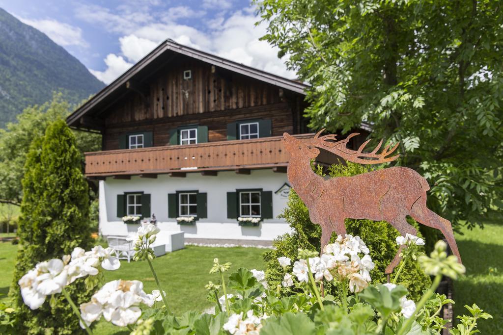 גולינג אן דר זלצאך Forest Chalet, 15 Min To Salzburg Olt Town, And Most Beautiful Lakes, Secluded Location, 1,000 Sqm Garden, Mountainview, Panorama Sauna, Bath Whirlpool, Bbq&Bikes&Sunbeds For Free, Up To 10 P מראה חיצוני תמונה