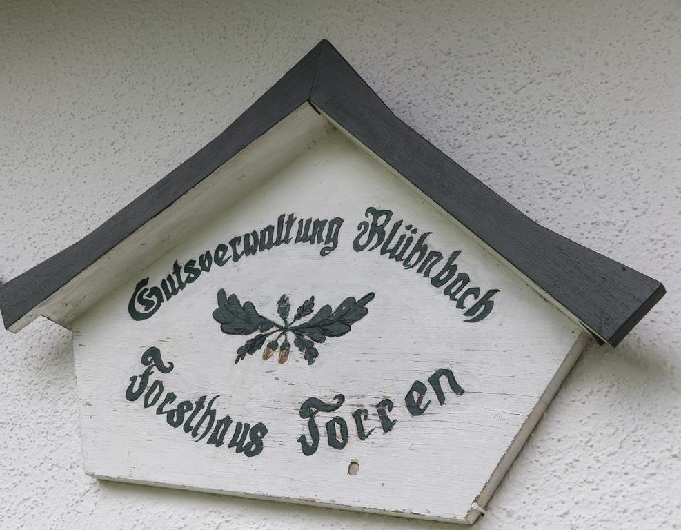 גולינג אן דר זלצאך Forest Chalet, 15 Min To Salzburg Olt Town, And Most Beautiful Lakes, Secluded Location, 1,000 Sqm Garden, Mountainview, Panorama Sauna, Bath Whirlpool, Bbq&Bikes&Sunbeds For Free, Up To 10 P מראה חיצוני תמונה